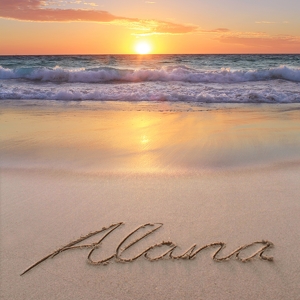 Team Page: Team Alana